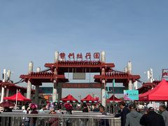-曹州牡丹园