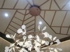 -探窝·竹笙椰子鸡(杨箕店)