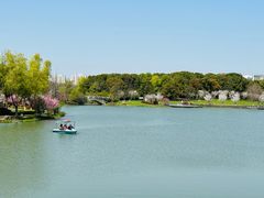 -昆山城市生态森林公园