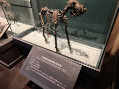 -大庆市博物馆
