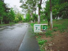 -长白岛森林公园