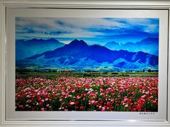 -南湖市民广场-乌鲁木齐美术馆