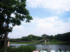-荷塘月色湿地公园·向阳花洲