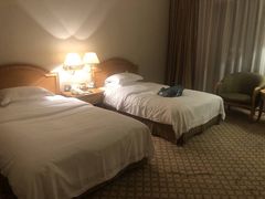 -南京维景国际大酒店(南京博物院店)