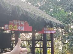 -铁山坪森林公园