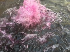 -春晖园度假酒店温泉