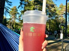 -黑龙江省森林植物园