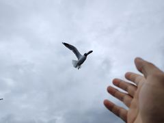 -青海湖二郎剑景区