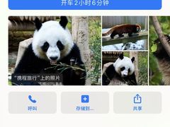 -栾川竹海野生动物园