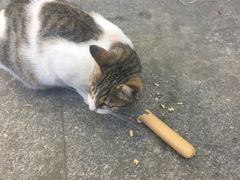 -HONGA HONGA雄家(曹路店)