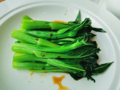 白灼菜心-唐阁海景中餐厅·早茶·粤菜•生日聚餐(海口朗廷酒店)