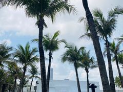 -欢乐海岸椰林沙滩-2025湾区超级灯会