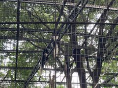 -扬州市茱萸湾风景区