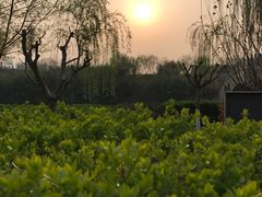 -西安汉城湖景区