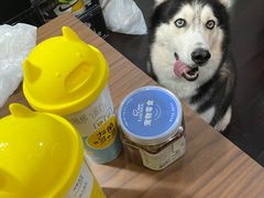 -PETKIT 小佩宠物·低压洗护·美容·寄养(安远店)