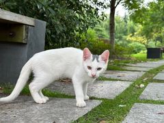 -东华大学(松江校区)