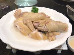 南华水晶鸡-新南华大酒店(广中店)
