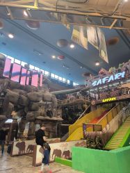 -卡通尼·Safari非洲探索乐园·生日会(金桥国际商业广场店)