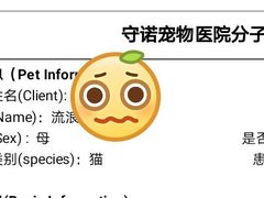 -守诺宠物医院·眼科· 特色牙科·异宠专科(虹口店)