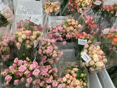 -山姆会员商店(杨桥西路店)
