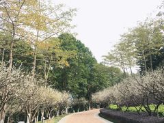 -玉树公园