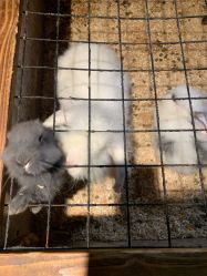 -酷嗒动物文化乐园(cutezoo西溪乐天城店)