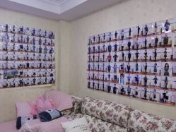 -维纳斯专业减肥