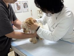 -美联众合动物医院·24h转诊中心