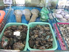 -清水湾3号(东方小周海鲜店)