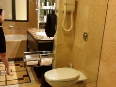 -新加坡乌节希尔顿酒店 (SG Clean)
