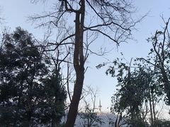 -岳麓山风景名胜区