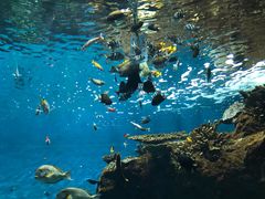 -鹿儿岛水族馆