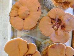 -百姓百味海鲜酒楼(粤垦路总店)