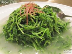浓汤松柳苗-苏浙总会(国金中心店)