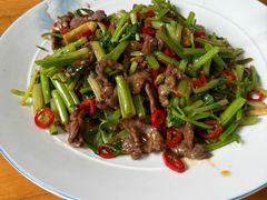 小炒牦牛肉-青城甲(青城山店)