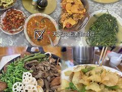 -天天向上素食餐厅(五台山店)
