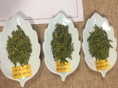 -养心斋涵信茶艺茶道培训