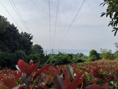 -铁山坪森林公园