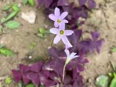 -莲池书院博物馆