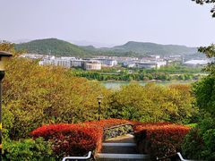 -羊山湖公园