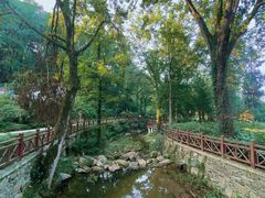 -素山寺森林公园