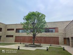 -盘龙城国家考古遗址公园