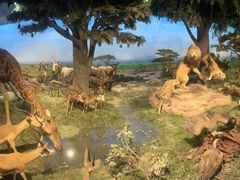 -国家自然博物馆