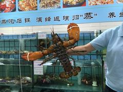 -海岛渔村大酒店(云霄路店)