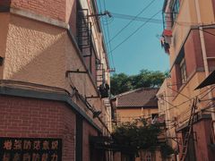 -胶囊画廊