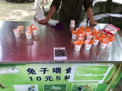 -贵州森林野生动物园