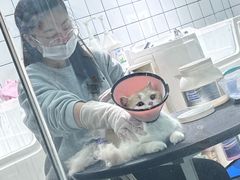 -老吴的猫·猫舍(新区店)