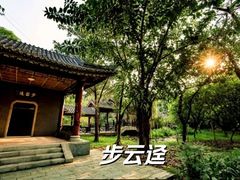 -顺峰山公园