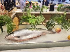 -冀粤香海鲜自助餐厅(西美五洲店)