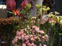 -Flower in(密渡桥店)